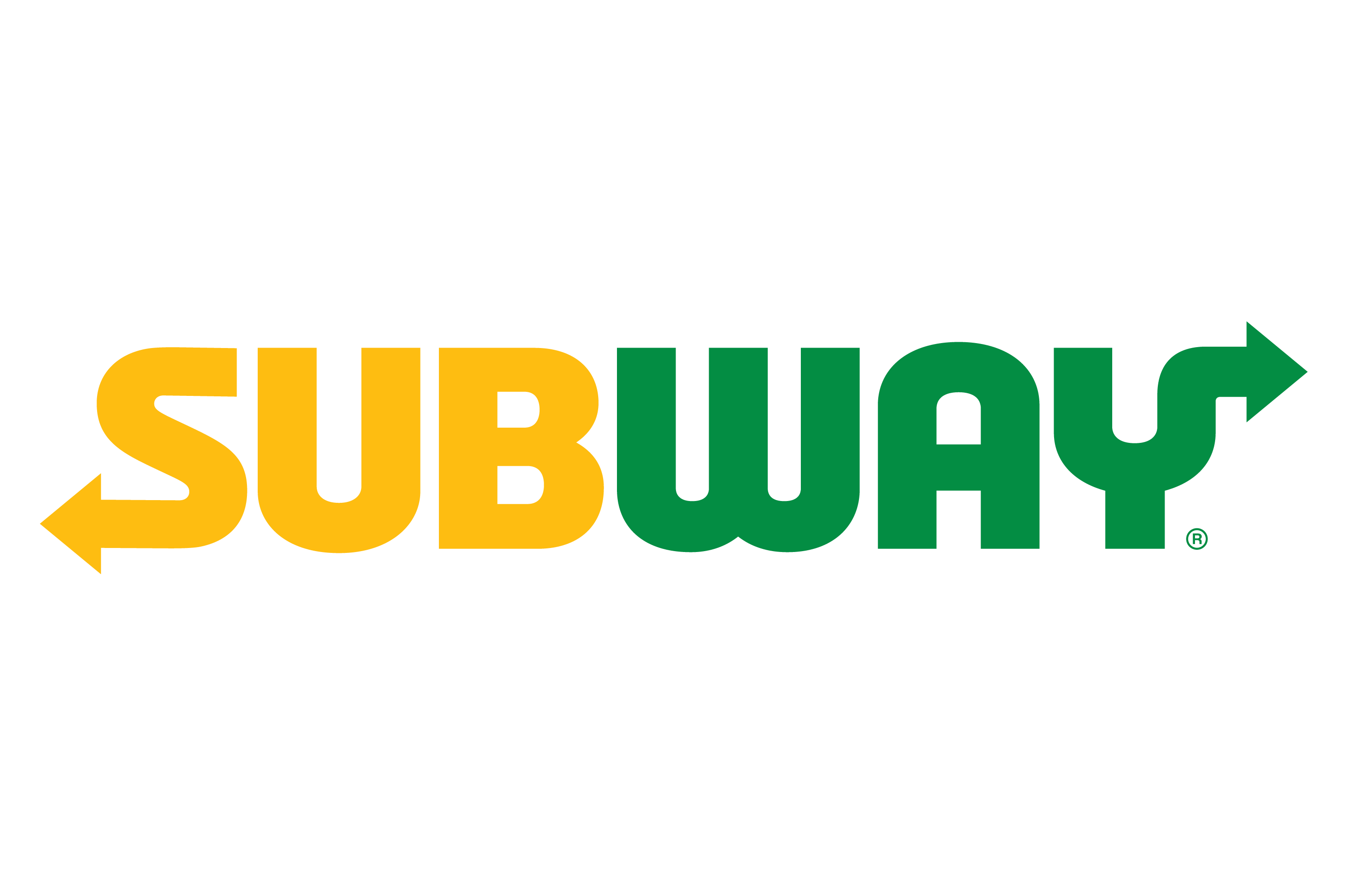 Subway Paystub Template - Free Pay Stub Generator
